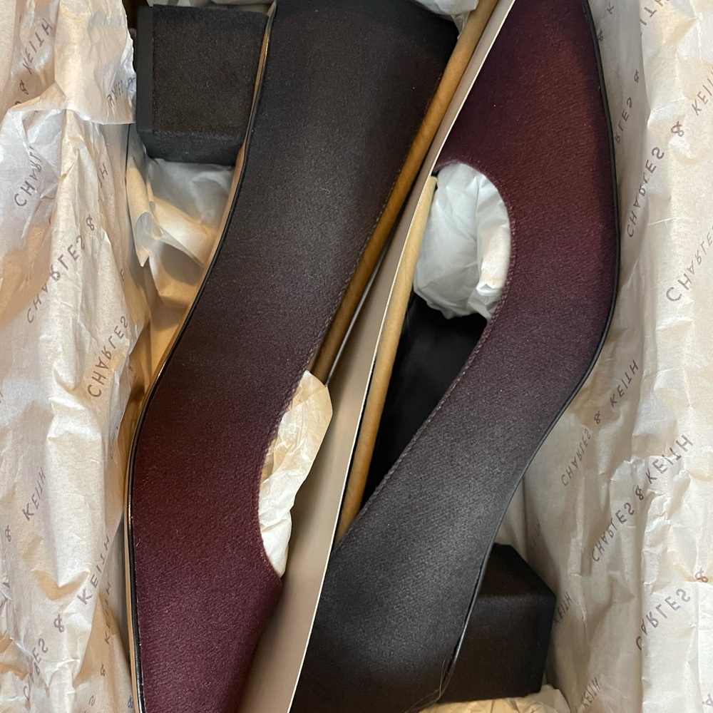 BRAND NEW Charles & Keith Ombre Heels